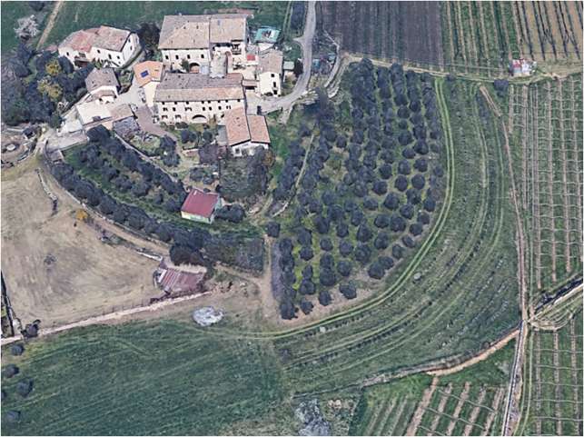 Rustico mit 8000qm Land, Olivenbäume, Fernblick zum Ausbau