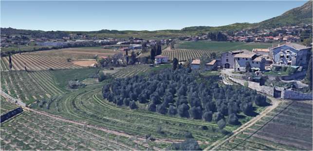 Rustico mit 8000qm Land, Olivenbäume, Fernblick zum Ausbau