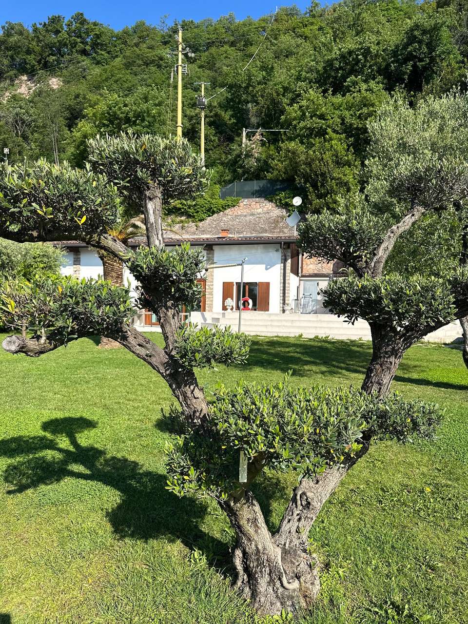 Villa mit Panoramablick Gardasee, Pool, Bootsanleger, Seezugang, ruhige Lage