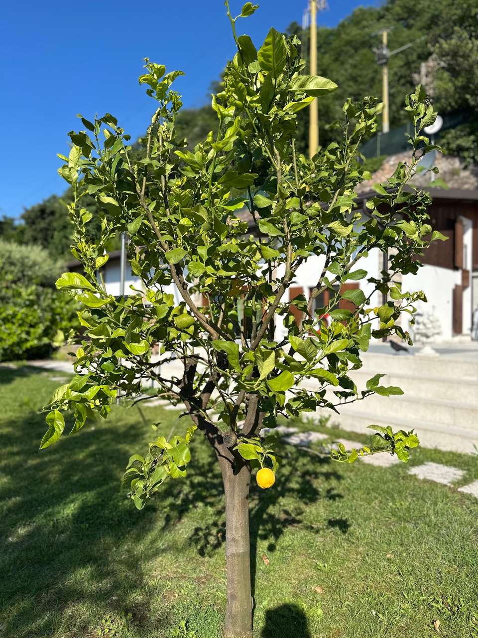 Villa mit Panoramablick Gardasee, Pool, Bootsanleger, Seezugang, ruhige Lage