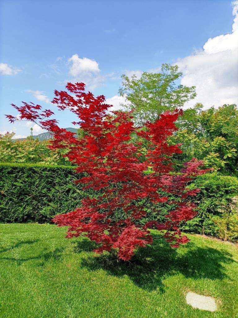 4 Zi.- Villa mit Pool, traumhafter Garten, Klima, Solar, Carport, Castion am Gardasee