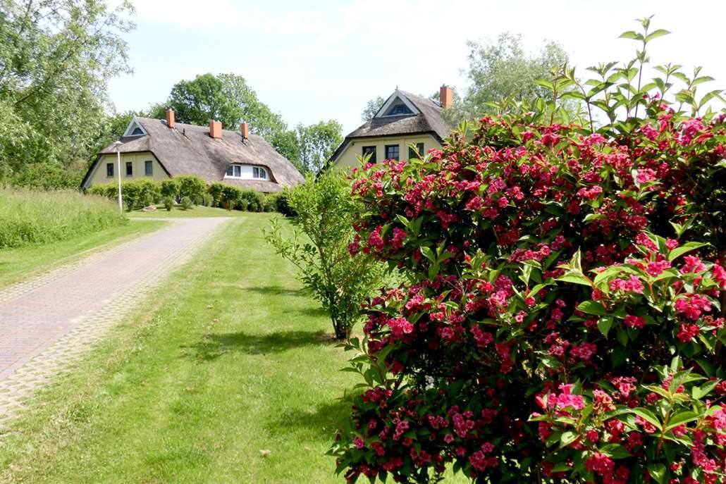 Reetdach Reihenhaus 3 SZ, 2 Bäder, möbliert, 3 Ebenen idyllische Lage Rügen, Kamin, Wallbox
