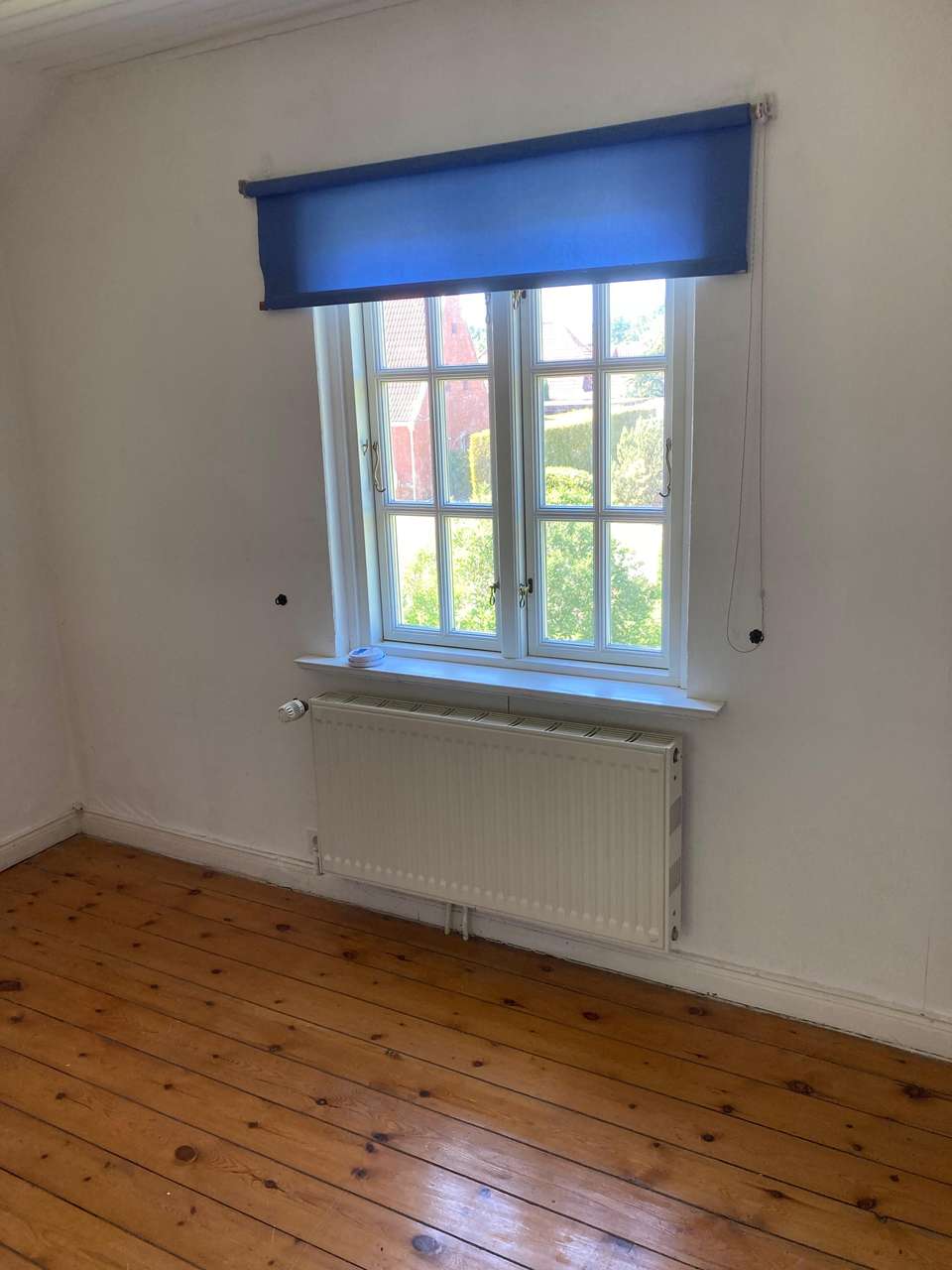das hübscheste Haus von Kellenhusen mit Garten könnte Ihnen gehören (provisionsfrei)