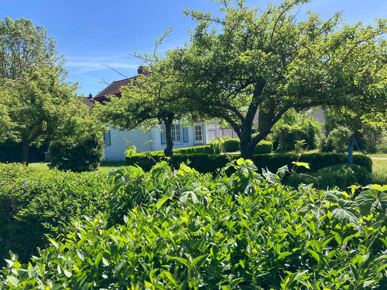 das hübscheste Haus von Kellenhusen mit Garten könnte Ihnen gehören (provisionsfrei)