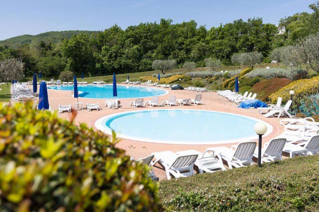 Pool Pool