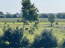 Ausblick Ausblick