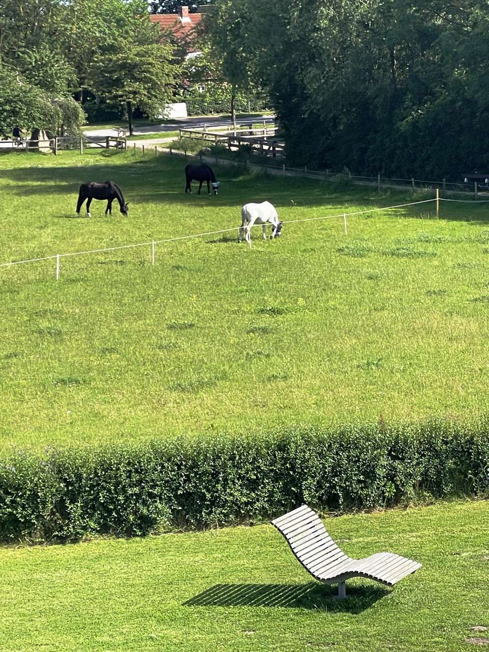 Ausblick vom Balkonjpg Ausblick vom Balkonjpg