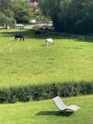 Ausblick vom Balkonjpg Ausblick vom Balkonjpg