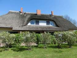 Ferienwohnung-Malve-3-1-1-1030