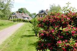 ferienwohnung-ruegen-urlaub-1-