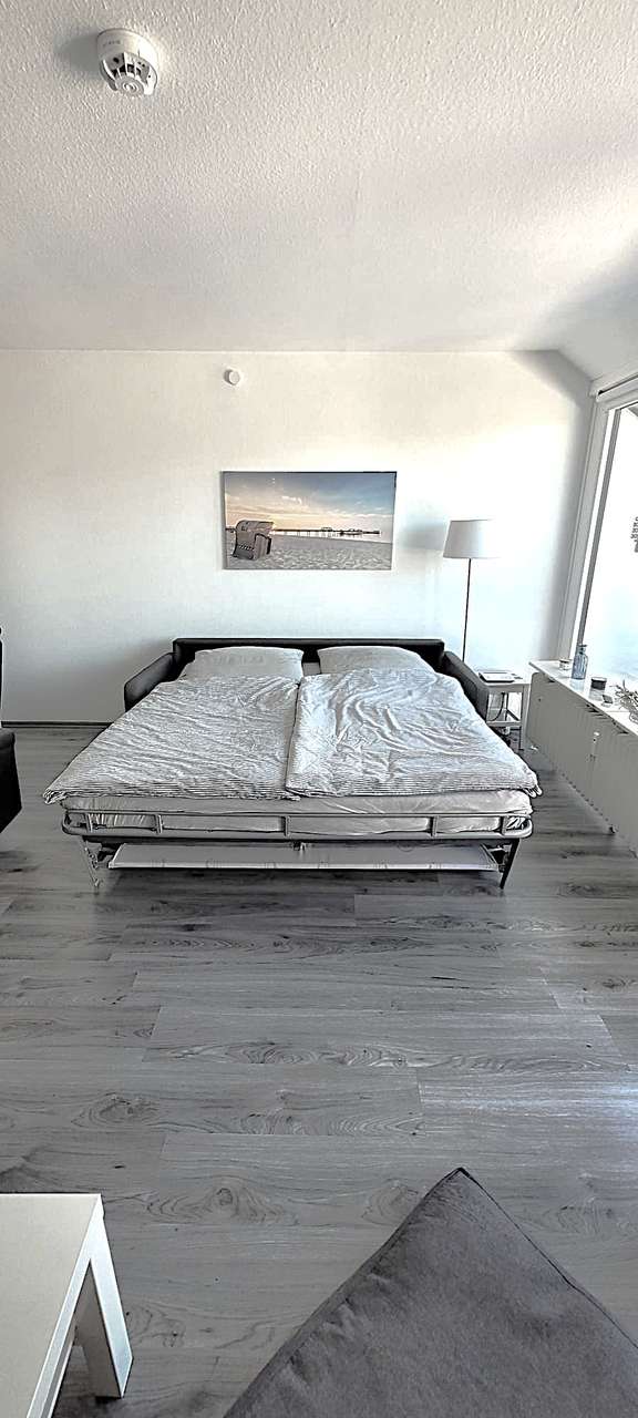 Wohnzimmer-Schlafsofa Wohnzimmer-Schlafsofa