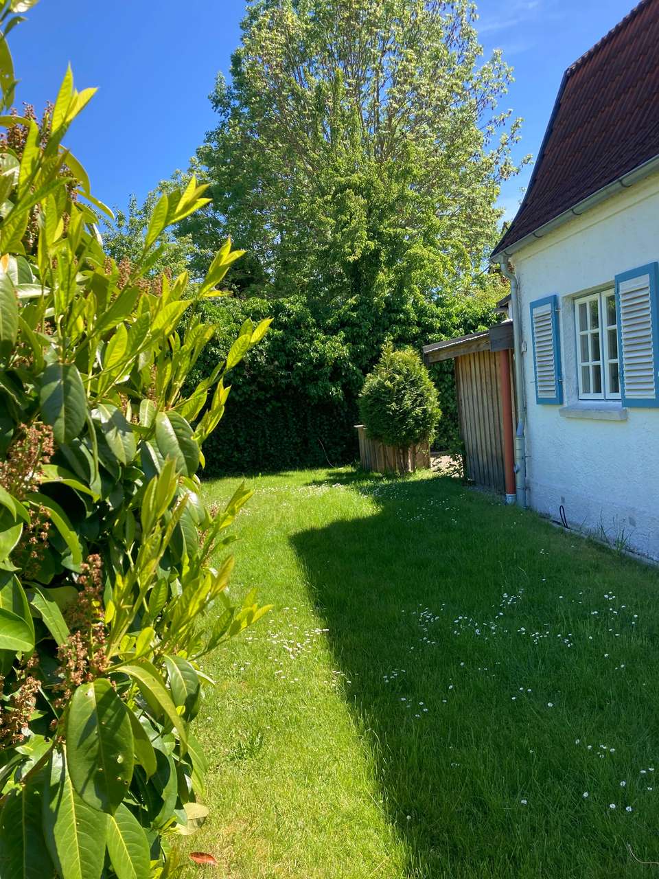 Hausansicht-7