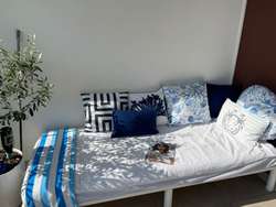 Daybed-2 Daybed-2