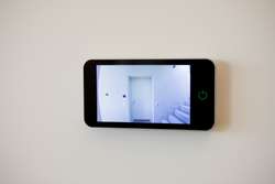 IMG_7804 IMG_7804