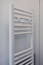 IMG_7875 IMG_7875