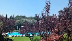 Blick auf den Garten und Pool Blick auf den Garten und Pool