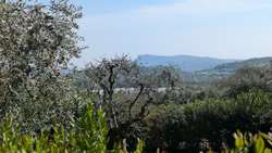 Ausblick